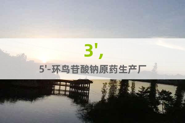 3',5'-環(huán)鳥(niǎo)苷酸鈉原藥生產(chǎn)廠家