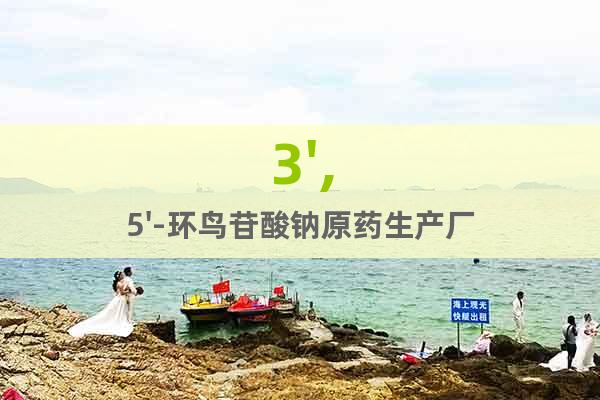 3',5'-環(huán)鳥苷酸鈉原藥生產(chǎn)廠家【生長(zhǎng)調(diào)節(jié)劑】【增產(chǎn)增收】