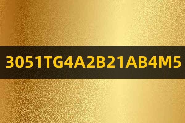 3051TG4A2B21AB4M5