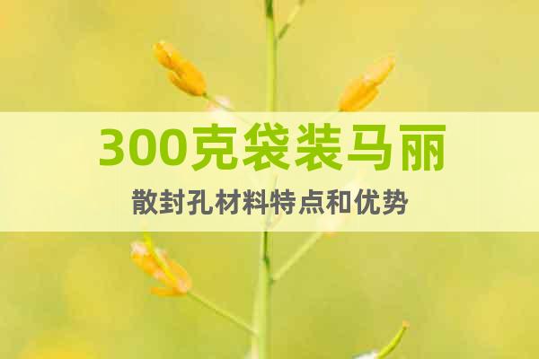 300克袋裝馬麗散封孔材料特點(diǎn)和優(yōu)勢(shì)