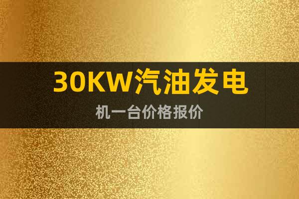 30KW汽油發(fā)電機(jī)一臺(tái)價(jià)格報(bào)價(jià)