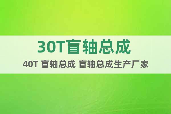 30T盲軸總成 40T 盲軸總成 盲軸總成生產(chǎn)廠家
