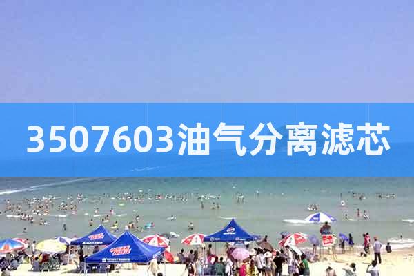 3507603油氣分離濾芯
