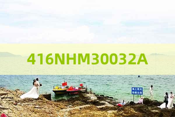 416NHM30032A