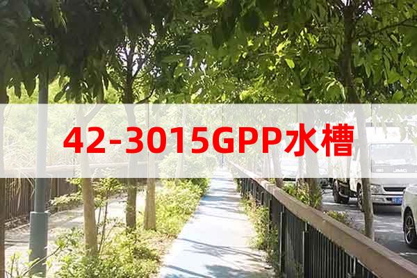 42-3015GPP水槽