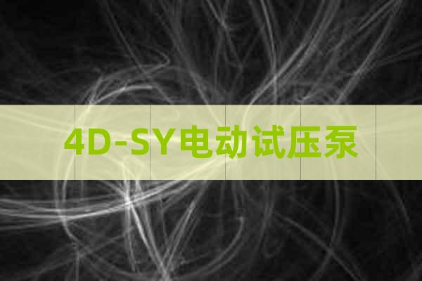 4D-SY電動試壓泵