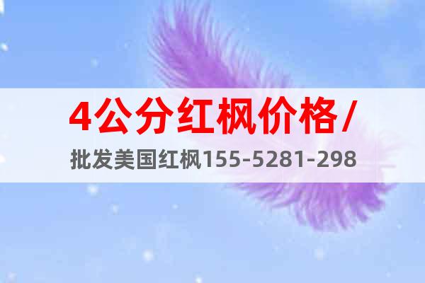 4公分紅楓價(jià)格/批發(fā)美國紅楓155-5281-2989