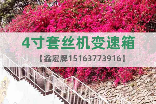 4寸套絲機(jī)變速箱【鑫宏牌15163773916】