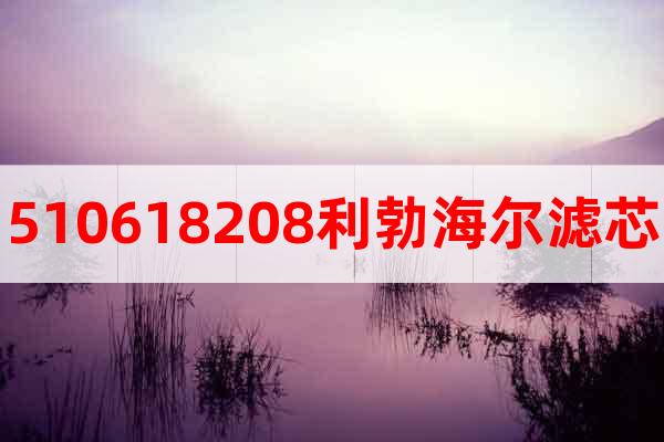 510618208利勃海爾濾芯