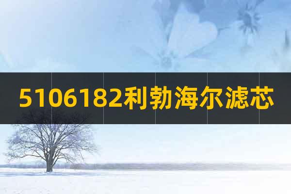 5106182利勃海爾濾芯