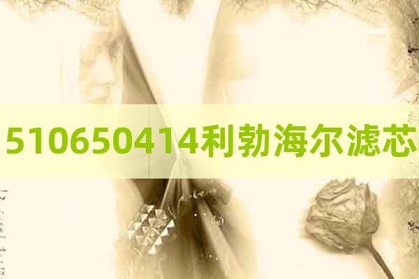 510650414利勃海爾濾芯