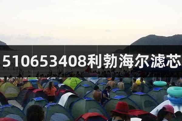 510653408利勃海爾濾芯
