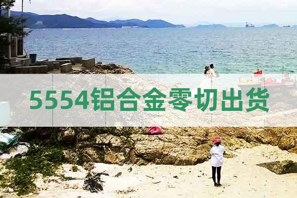 5554鋁合金零切出貨