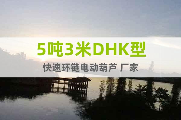 5吨3米DHK型快速环链电动葫芦 厂家