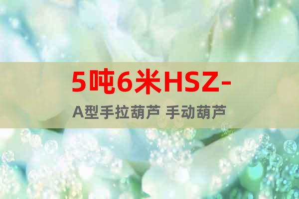 5噸6米HSZ-A型手拉葫蘆 手動(dòng)葫蘆