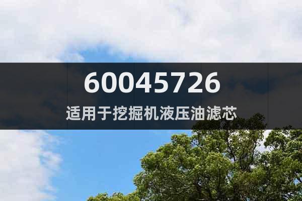 60045726適用于挖掘機(jī)液壓油濾芯