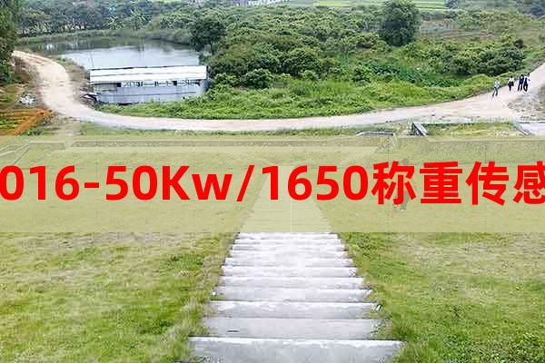 65016-50Kw/1650稱重傳感器
