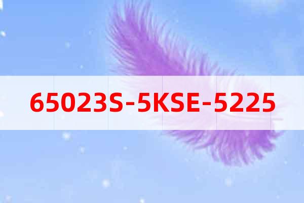 65023S-5KSE-5225