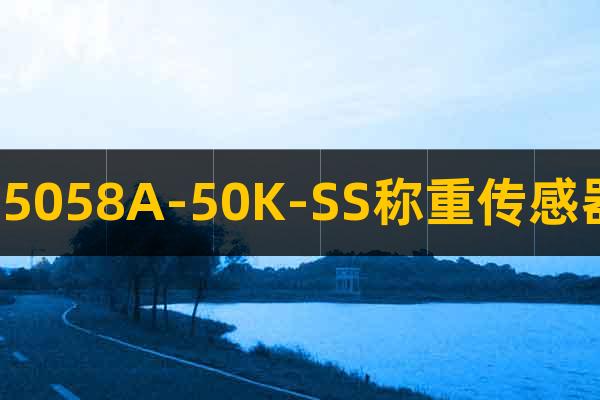 65058A-50K-SS称重传感器