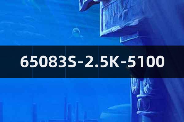 65083S-2.5K-5100