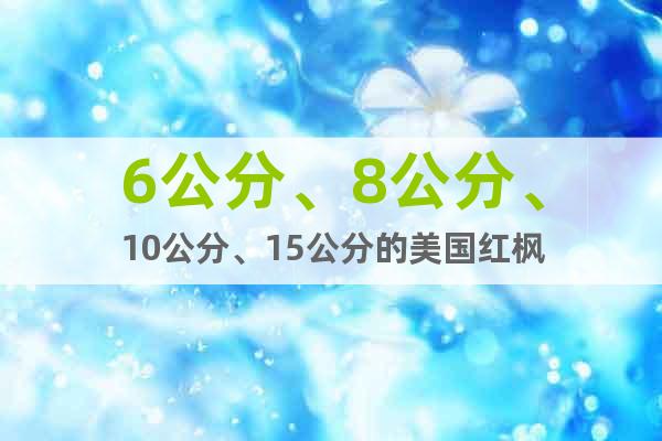 6公分、8公分、10公分、15公分的美國紅楓