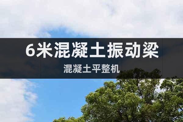 6米混凝土振動梁混凝土平整機