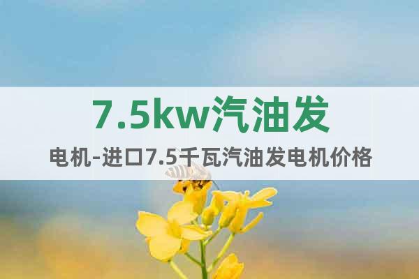 7.5kw汽油发电机-进口7.5千瓦汽油发电机价格