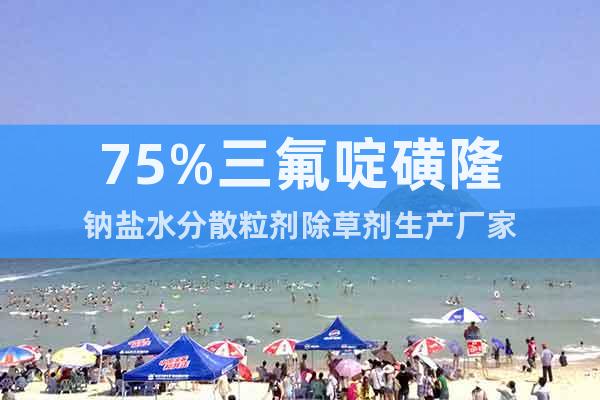 75%三氟啶磺隆鈉鹽水分散粒劑除草劑生產(chǎn)廠家