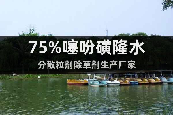 75%噻吩磺隆水分散粒劑除草劑生產(chǎn)廠家