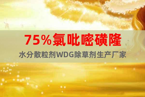 75%氯吡嘧磺隆水分散粒劑WDG除草劑生產(chǎn)廠家