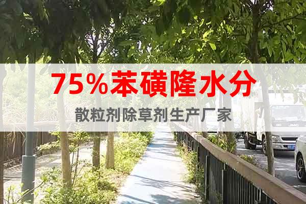 75%苯磺隆水分散粒劑除草劑生產(chǎn)廠家