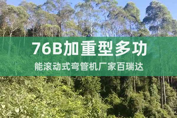 76B加重型多功能滾動式彎管機廠家百瑞達