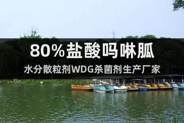 80%鹽酸嗎啉胍水分散粒劑WDG殺菌劑生產(chǎn)廠家