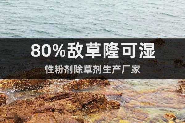 80%敵草隆可濕性粉劑除草劑生產(chǎn)廠家