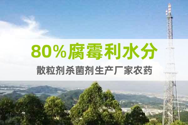 80%腐霉利水分散粒劑殺菌劑生產(chǎn)廠家農(nóng)藥