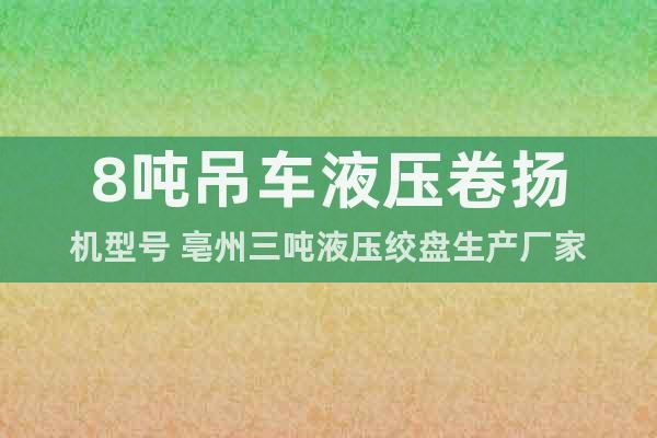 8噸吊車液壓卷揚(yáng)機(jī)型號 亳州三噸液壓絞盤生產(chǎn)廠家