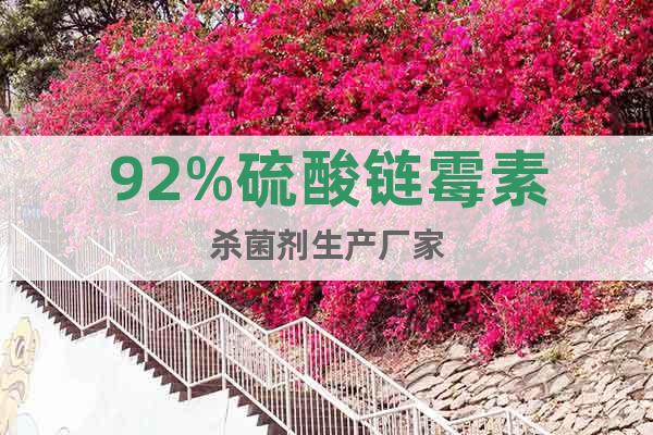 92%硫酸鏈霉素殺菌劑生產(chǎn)廠家