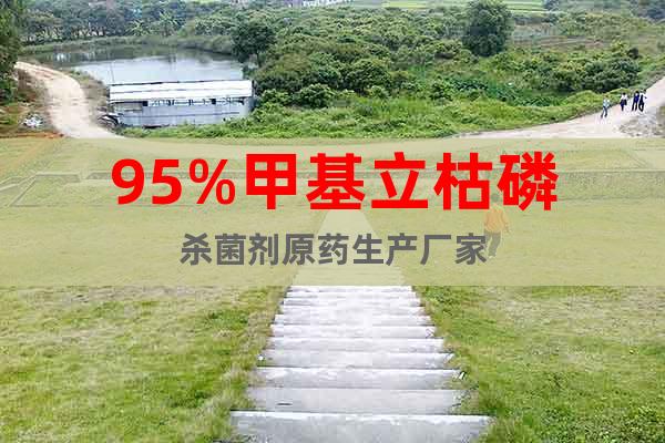 95%甲基立枯磷原藥生產(chǎn)廠家