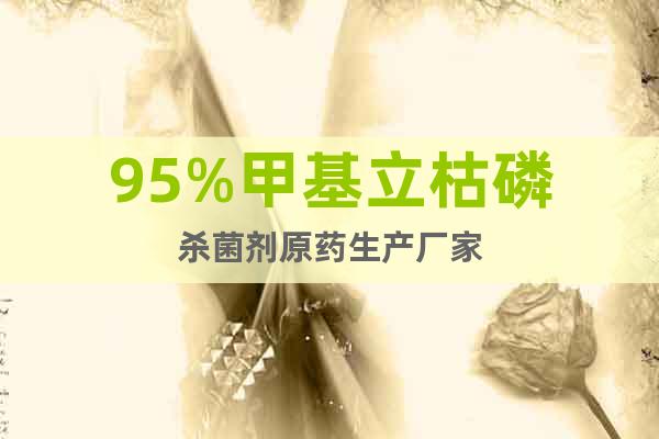 95%甲基立枯磷殺菌劑生產(chǎn)廠家