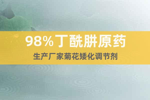 98%丁酰肼原藥生產(chǎn)廠家菊花矮化調(diào)節(jié)劑
