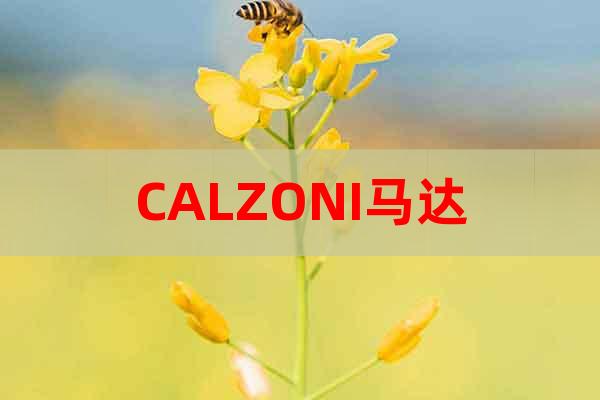 CALZONI馬達