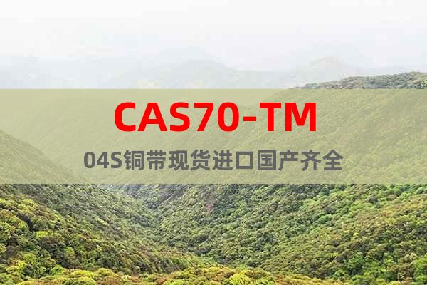 CAS70-TM04S铜带现货进口国产齐全