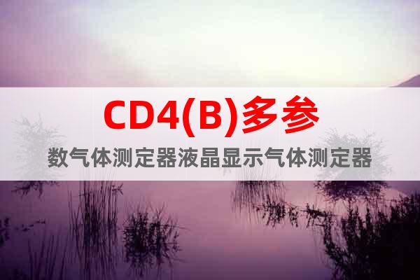 CD4(B)多参数气体测定器液晶显示气体测定器