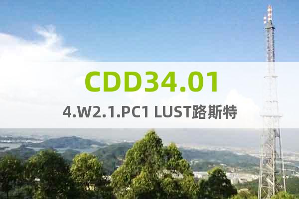 CDD34.014.W2.1.PC1 LUST路斯特伺