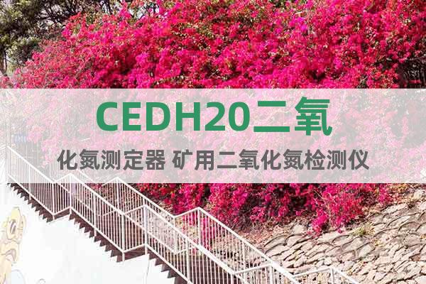 CEDH20二氧化氮测定器 矿用二氧化氮检测仪