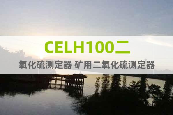 CELH100二氧化硫测定器 矿用二氧化硫测定器