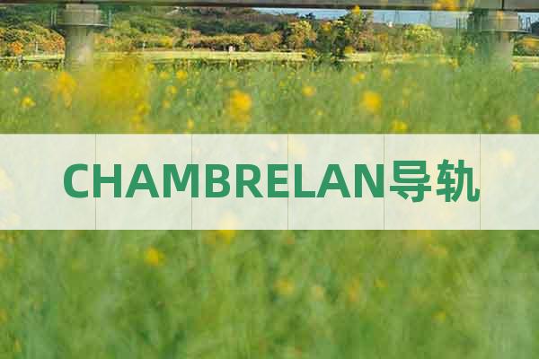 CHAMBRELAN導軌