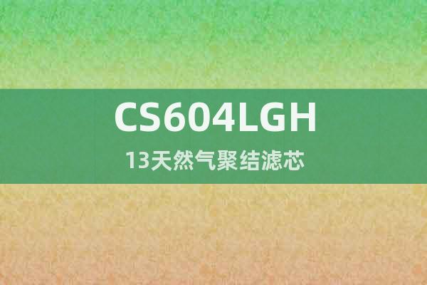 CS604LGH13天然氣聚結(jié)濾芯