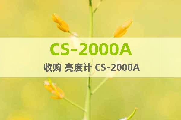 CS-2000A 收購 亮度計 CS-2000A