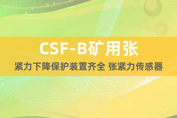 CSF-B矿用张紧力下降保护装置齐全 张紧力传感器